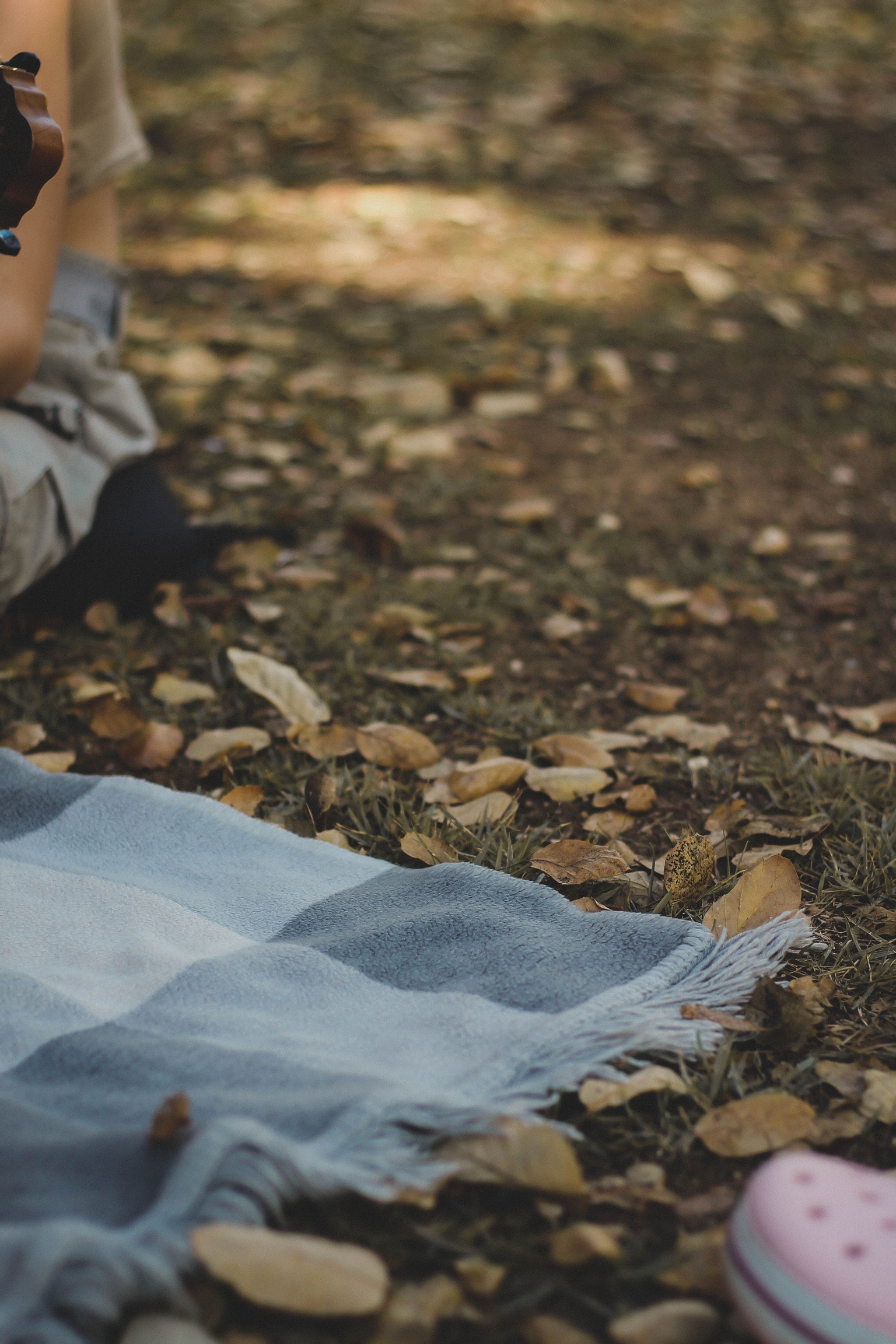 Bottled Sunshine: The End of Summer Charity Picnic 🧺