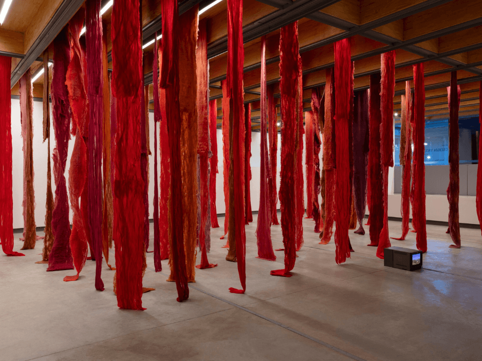 Cecilia Vicuña: Living Threads
