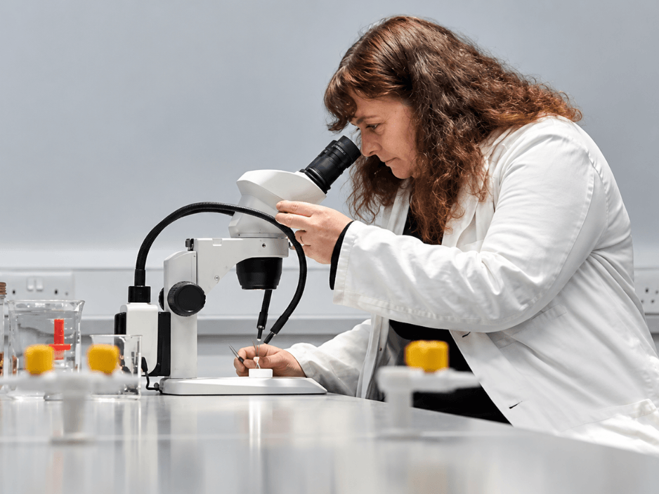 Dr Amoret Whitaker: Solving Murders Using Insects 🪲