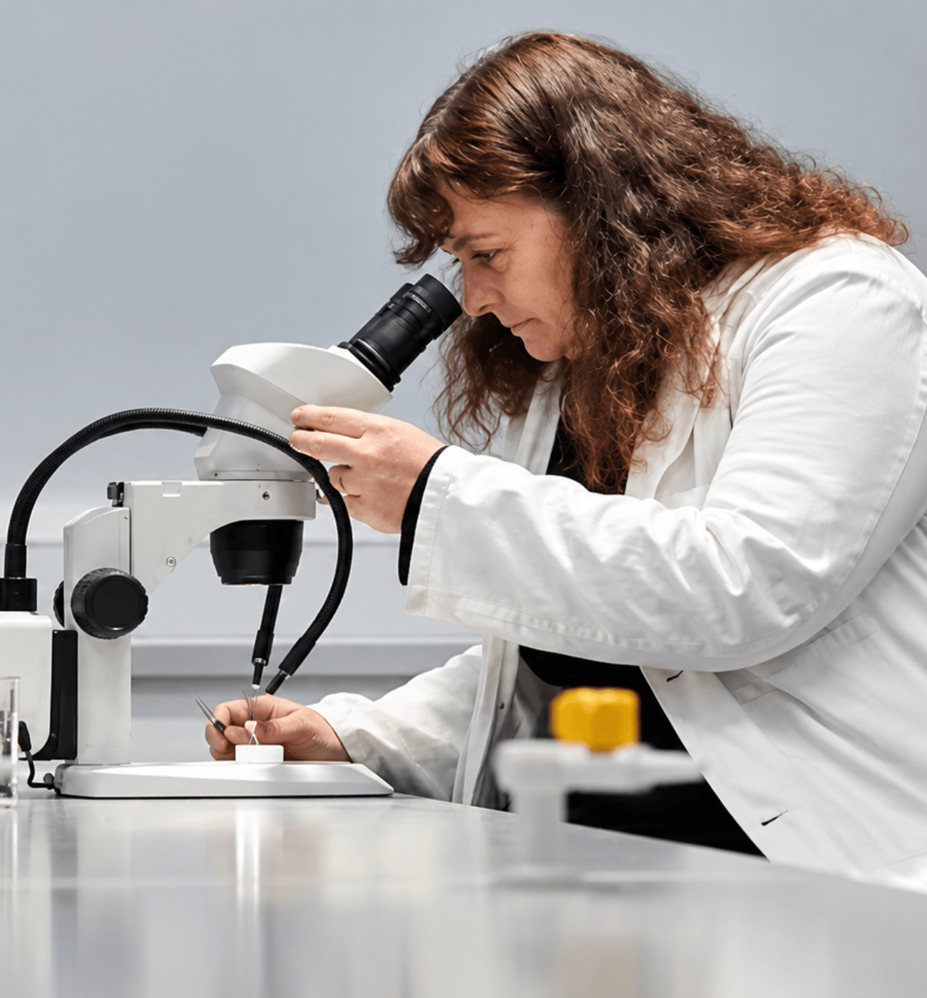 Dr Amoret Whitaker: Solving Murders Using Insects 🪲